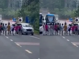 Chỉ vì một bức ảnh, nhóm du khách liều lĩnh chặn cả dòng xe trên đường khiến dân mạng phẫn nộ