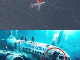 Không thể tin nổi: Tìm thấy xác máy bay MH370 ở độ sâu gần 6.000m?