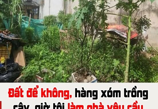 Có phải đền bù hoa màu khi lấy lại đất?