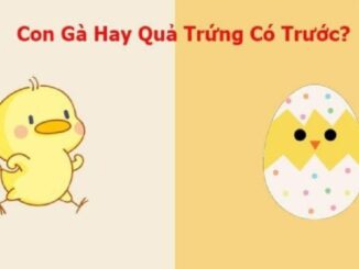Quả trứng có trước hay con gà có trước: Đây chính là câu trả lời chính xác nhất