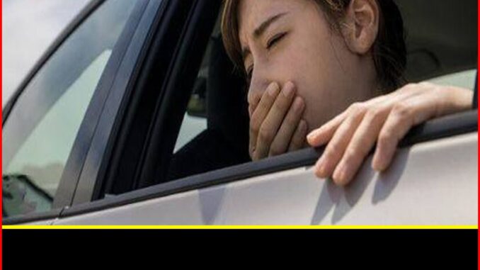 8 cách thoát khỏi say xe tức thì không cần thuốc: Đi xa vẫn khỏe re 8 cách thoát khỏi say xe tức thì không cần thuốc: Đi xa vẫn khỏe re