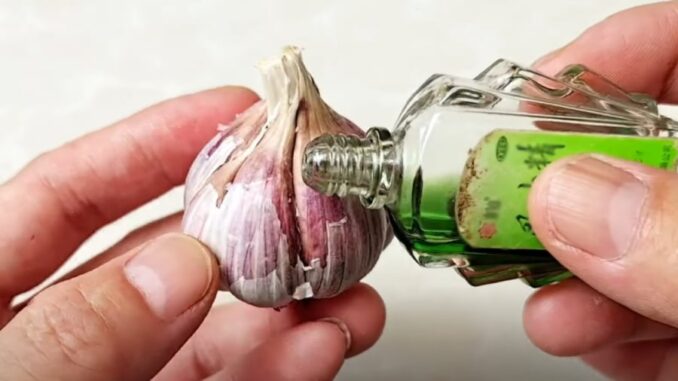 Nhỏ dầu gió vào tỏi tưởng lãng phí, hóa ra có công dụng đặc biệt, ai cũng cần Nhỏ dầu gió vào tỏi tưởng lãng phí, hóa ra có công dụng đặc biệt, ai cũng cần