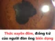 Thức xuyên đêm, đ:ồng tử của người đàn ông biến dạng thành hình cánh hoa