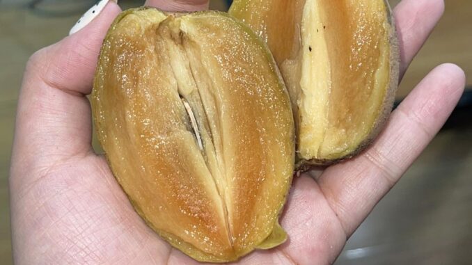 THÀNH PHẦN VÀ LỢI ÍCH CỦA QUẢ HỒNG XIÊM ĐỐI VỚI SỨC KHỎE THÀNH PHẦN VÀ LỢI ÍCH CỦA QUẢ HỒNG XIÊM ĐỐI VỚI SỨC KHỎE