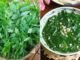 Rau ngót ngon – bổ – rẻ nhưng có 5 nhóm người không nên ăn