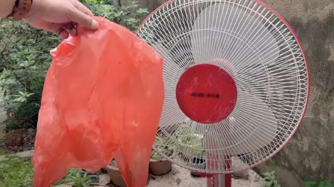 Vệ sinh quạt điện không cần tháo khung, làm theo cách này là loại bỏ hết bụi bẩn Vệ sinh quạt điện không cần tháo khung, làm theo cách này là loại bỏ hết bụi bẩn