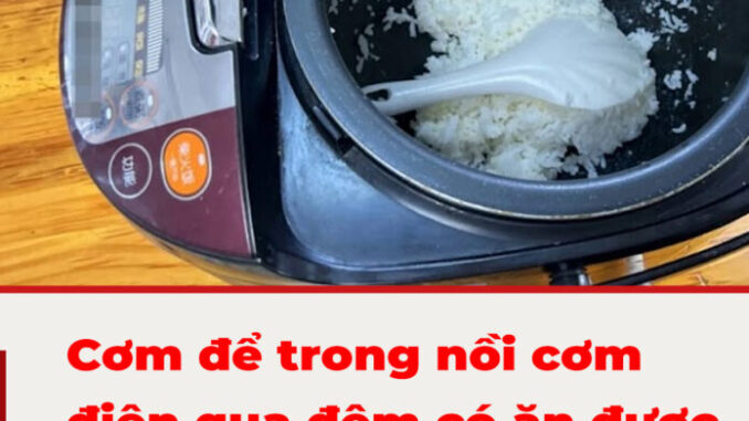 Cơm để trong nồi cơm điện qua đêm có ăn được không: Nhiều người giật mình khi biết đáp án Cơm để trong nồi cơm điện qua đêm có ăn được không: Nhiều người giật mình khi biết đáp án