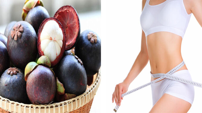 Những công dụng tuyệt vời của trái măng cụt với sức khỏe Những công dụng tuyệt vời của trái măng cụt với sức khỏe