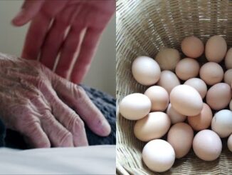 Di chúc của cha: 200 triệu cho con trai cả, căn nhà cho con trai thứ và 1 rổ trứng cho con gái duy nhất