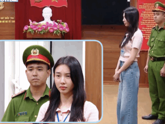 Hoa hậu Thùy Tiên có thể đối mặt hình ph:ạt 5 năm t:ù