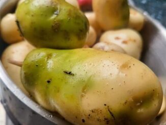 4 loại rau củ đầy độc tố, đã không bổ béo còn phá nội tạng, “cấu kết” với tế bào u-ng th-ư nhưng nhà nào cũng có
