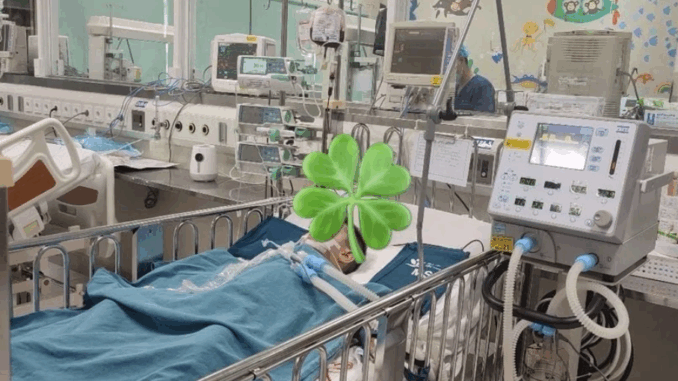Sức khỏe của bé trai 4 tuổi trong vụ ‘nộp đủ tiền mới cấp cứu’: Bệnh nhi tiên lượng nặng, hiện chưa phải c:ắt thận Sức khỏe của bé trai 4 tuổi trong vụ ‘nộp đủ tiền mới cấp cứu’: Bệnh nhi tiên lượng nặng, hiện chưa phải c:ắt thận