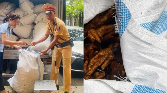 ‘Chặn đứng’ ô tô chở 1,4 tấn chân gà bị mốc hỏng đang đưa về Hà Nội tiêu thụ ‘Chặn đứng’ ô tô chở 1,4 tấn chân gà bị mốc hỏng đang đưa về Hà Nội tiêu thụ