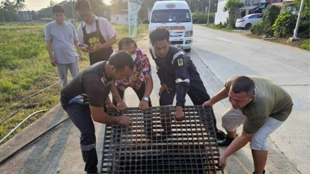 Nghe thấy tiếng kêu dưới cống thoát nước, người dân chạy đến nơi chứng kiến cảnh tượng không ngờ Nghe thấy tiếng kêu dưới cống thoát nước, người dân chạy đến nơi chứng kiến cảnh tượng không ngờ