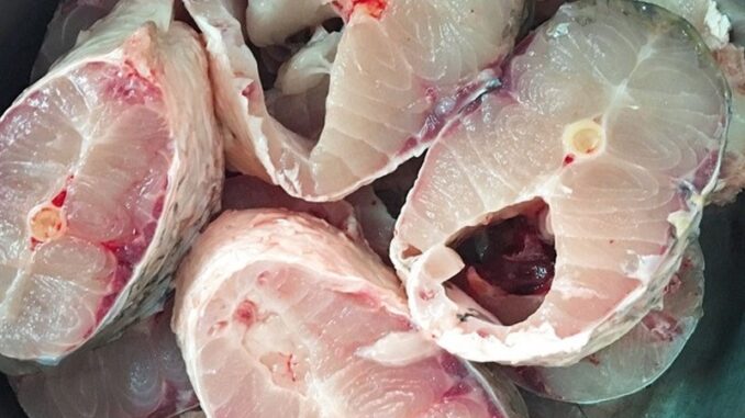 4 bộ phận rất bẩn, chứa độc của cá tuyệt đối không ăn 4 bộ phận rất bẩn, chứa độc của cá tuyệt đối không ăn