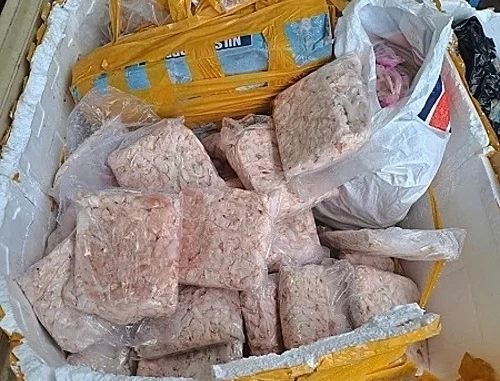 Phát hiện 50 tấn nội tạng không rõ nguồn gốc trong 5 tháng