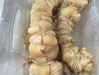 Vó bò là gì? 100 gram vó bò chứa bao nhiêu calo? Gợi ý các món ngon chế biến từ vó bò