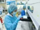 TP.HCM: 83% mẫu giải trình tự gene ca COVID-19 là biến chủng NB.1.8.1