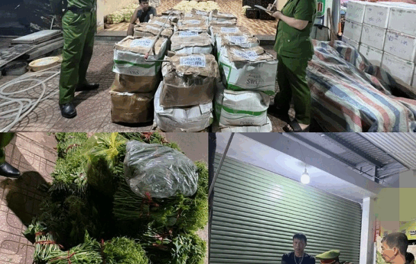Thu giữ hơn 3 tạ rau quả nhiễm hóa chất độ:c hạ:i Thu giữ hơn 3 tạ rau quả nhiễm hóa chất độ:c hạ:i