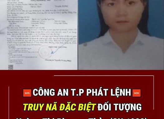 Truy nã đặc biệt đối tượng Hoàng Thị Phương Thảo Truy nã đặc biệt đối tượng Hoàng Thị Phương Thảo