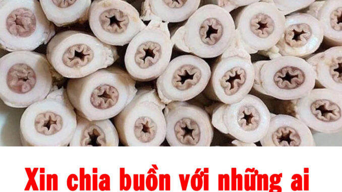 Trung Quốc có món lòng xe điếu hay không? Trung Quốc có món lòng xe điếu hay không?