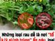 Những loại rau dễ là nơi “tổ ký sinh trùng” ẩn náu, loại số 1 nhiều người mê