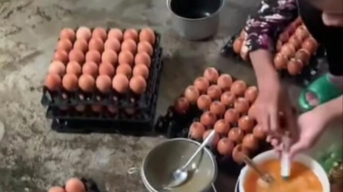 Tràn lan thông tin trứng gà giả trên thị trường, Chủ tịch Hội Chăn nuôi Việt Nam phán 1 câu xanh rờn Tràn lan thông tin trứng gà giả trên thị trường, Chủ tịch Hội Chăn nuôi Việt Nam phán 1 câu xanh rờn