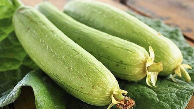 MƯỚP CÓ TÁC DỤNG GÌ VÀ THÀNH PHẦN DINH DƯỠNG TRONG MƯỚP MƯỚP CÓ TÁC DỤNG GÌ VÀ THÀNH PHẦN DINH DƯỠNG TRONG MƯỚP