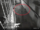 Kinh hoàng: Camera ghi lại hình ảnh con quấn thi the mẹ vào chăn rồi bỏ ra đường ở TP.HCM