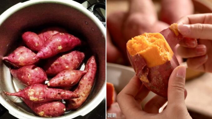 Luộc khoai lang đừng chỉ cho nước lã, thêm 1 thìa này, củ nào cũng bở, ngọt lừ Luộc khoai lang đừng chỉ cho nước lã, thêm 1 thìa này, củ nào cũng bở, ngọt lừ