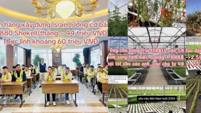 Cảnh báo khẩn Cảnh báo khẩn