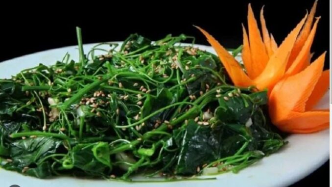 Loại rau “nhà nghèo” hay ăn nay lên đời thành đặc sản: Tốt ngang t:huốc b:ổ Loại rau “nhà nghèo” hay ăn nay lên đời thành đặc sản: Tốt ngang t:huốc b:ổ