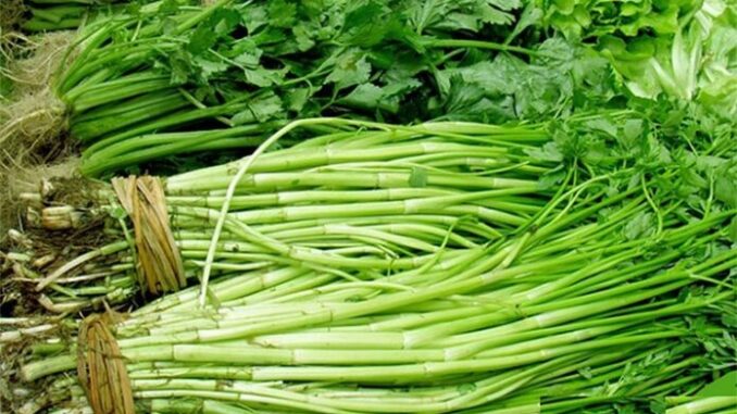 8 loại rau “ngậm” hoá chất, lại còn chứa ổ ký sinh trùng nhiều người không biết: Người Việt rất hay ăn