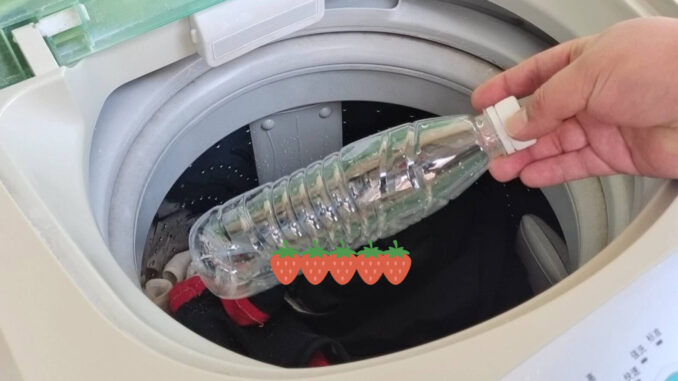 Bỏ 1 chai nhựa rỗng vào máy giặt, tôi công nhận người nghĩ ra mẹo này có IQ “đỉnh nóc” Bỏ 1 chai nhựa rỗng vào máy giặt, tôi công nhận người nghĩ ra mẹo này có IQ “đỉnh nóc”