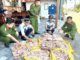Phát hiện gần 500kg chân gà, đuôi lợn ‘b:ẩn’ trong kho công ty thực phẩm sạch