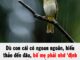 Dù con cái có hiếu thảo đến đâu, bố mẹ phải nhớ ‘định luật chim sẻ’ luôn tồn tại: Càng thấm thía càng được hạnh phúc, an nhàn