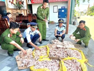 Phát hiện gần 500kg chân gà, đuôi lợn ‘bẩn’ trong kho công ty thực phẩm sạch