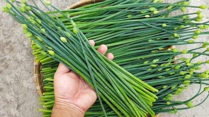 11 lợi ích không ngờ của lá hẹ đối với sức khỏe! 11 lợi ích không ngờ của lá hẹ đối với sức khỏe!