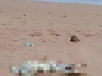 Thi thể nam giới dạt vào bờ biển Nghệ An: Mặc 3 lớp áo, không có giấy tờ tùy thân