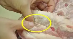 2 bộ phận của lợn chứa rất nhiều tế bào ung thư: Đừng ăn kẻo ngấm bệnh lúc nào không biết 2 bộ phận của lợn chứa rất nhiều tế bào ung thư: Đừng ăn kẻo ngấm bệnh lúc nào không biết