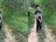 Đi theo thanh niên 19 tuổ.i, người phụ nữ bị hiế.p dâ.m trong rừng keo