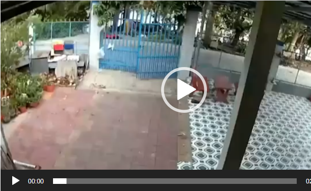 Khi đang cùng chồng gom lục bình phơi phía trước nhà Khi đang cùng chồng gom lục bình phơi phía trước nhà