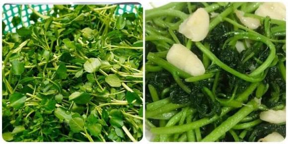 Loại rau được Mỹ đánh giá có chứa nhiều dinh dưỡng bậc nhất thế giới hóa ra được bán rất nhiều tại Việt Nam Loại rau được Mỹ đánh giá có chứa nhiều dinh dưỡng bậc nhất thế giới hóa ra được bán rất nhiều tại Việt Nam