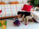 Trời mưa rét, mẹ chồng bưng bát cháo lạnh ngắt cho cháu ăn, tôi tức giận cầm hất ra giữa sàn. Đến lúc nhìn thấy thứ phía dưới mà bật khóc nức nở…