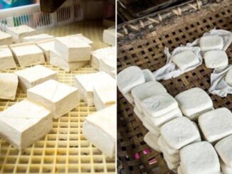 Phân biệt đậu phụ sạch và đậu phụ thạch cao: Nhất định phải nhìn vào 4 điểm này
