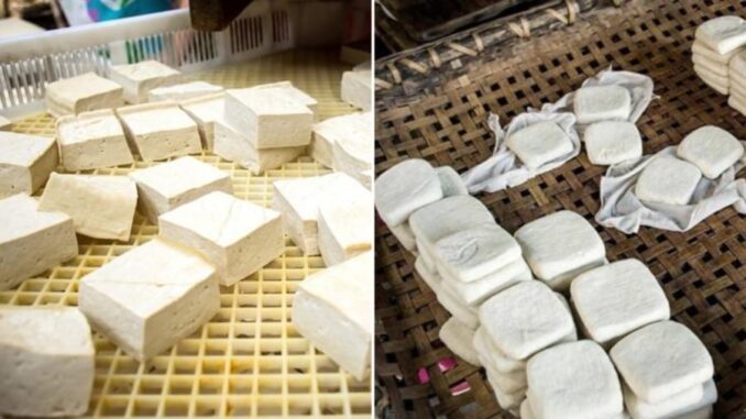 Phân biệt đậu phụ sạch và đậu phụ thạch cao: Nhất định phải nhìn vào 4 điểm này Phân biệt đậu phụ sạch và đậu phụ thạch cao: Nhất định phải nhìn vào 4 điểm này