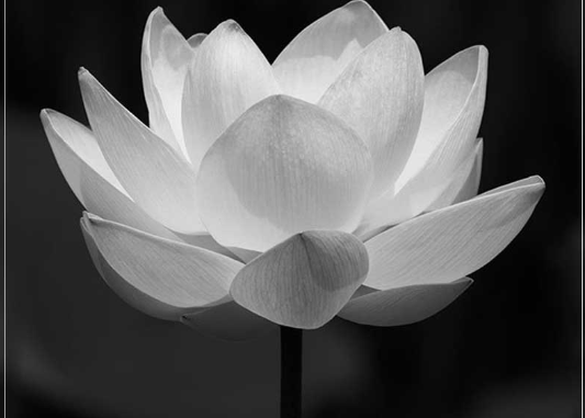 Mỹ nhân màn ảnh Việt huyền thoại một thời vừa quadoi đầy x:.ót xa Mỹ nhân màn ảnh Việt huyền thoại một thời vừa quadoi đầy x:.ót xa