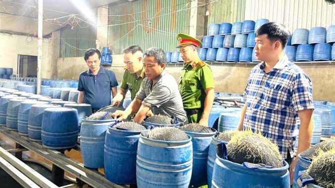 X:ót x:a quá bà con Lào Cai ơi: Bao nhiêu năm cả tỉnh ngày nào cũng phải ăn thứ thực phẩm toàn “h:óa ch:ất đ;;ộc h;;ại” này mà không biết X:ót x:a quá bà con Lào Cai ơi: Bao nhiêu năm cả tỉnh ngày nào cũng phải ăn thứ thực phẩm toàn “h:óa ch:ất đ;;ộc h;;ại” này mà không biết