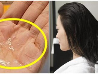 Vì sao gội đầu ngoài tiệm tóc luôn sạch thơm hơn gội ở nhà: Hóa ra bí mật rất đơn giản, từ nay chị em đỡ tốn 50k, tự gội ở nhà tóc lâu bết, thơm mềm