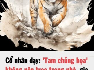 Cổ nhân dạy: ‘Tam chủng họa’ không nên treo trong nhà, gia đạo lục đục, tài lộc trôi sạch